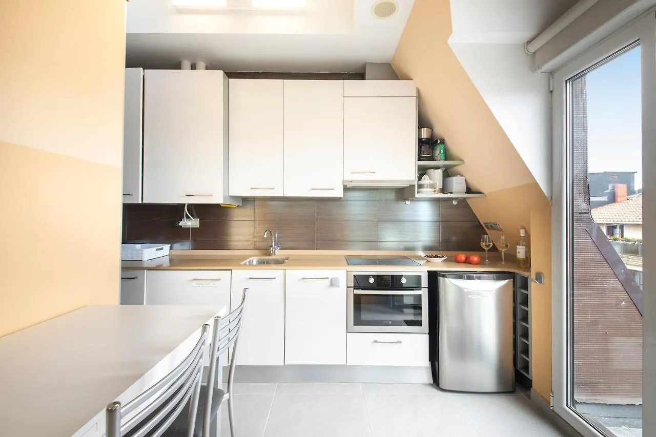 דירות סן סבסטיאן Luxury Duplex Penthouse With Terrace-Old Town ספרד
